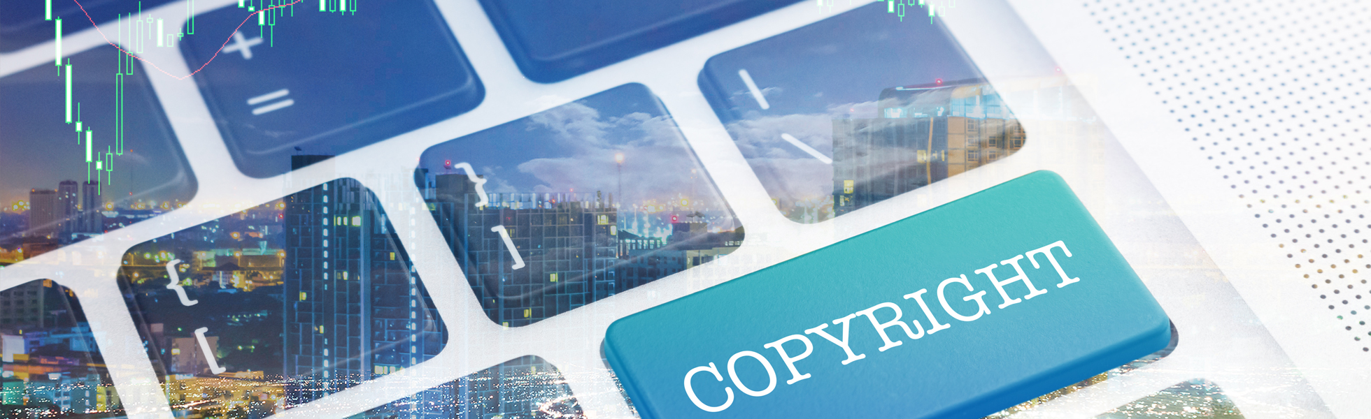 Enforce your Copyrights Domestically and Internationally
